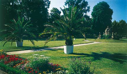 South garden Picture: South garden
